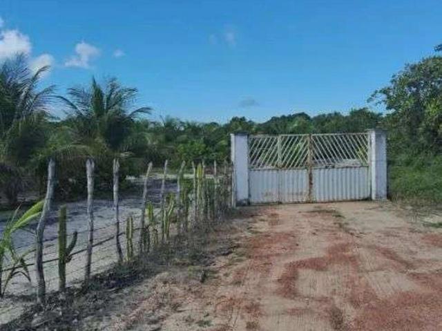 Sítio / Chácara para Venda em Rio do Fogo/RN Centro 3 Quartos