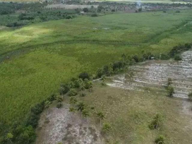 Sítio / Chácara para Venda em Rio do Fogo/RN Centro 3 Quartos