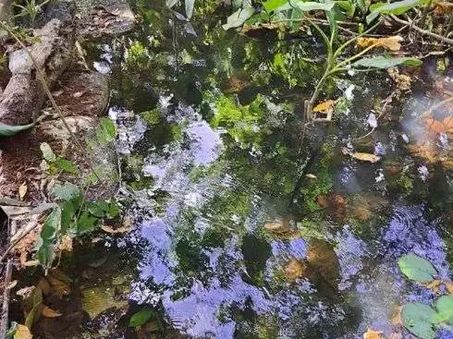 Sítio / Chácara para Venda em Rio do Fogo/RN Centro 3 Quartos
