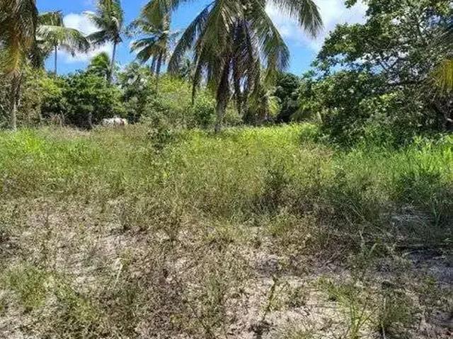 Sítio / Chácara para Venda em Rio do Fogo/RN Centro 3 Quartos