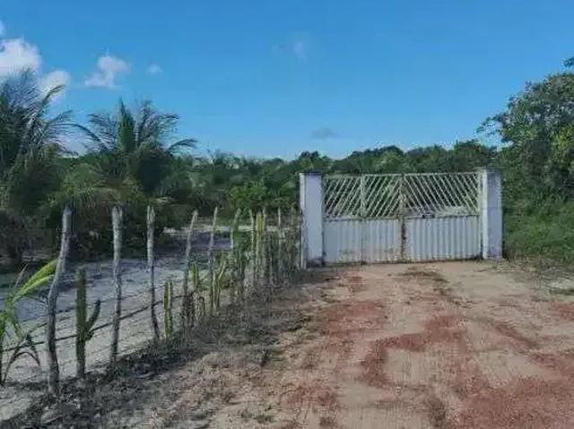 Sítio / Chácara para Venda em Rio do Fogo/RN Centro 3 Quartos