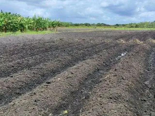 Sítio / Chácara para Venda em Rio do Fogo/RN Centro 3 Quartos