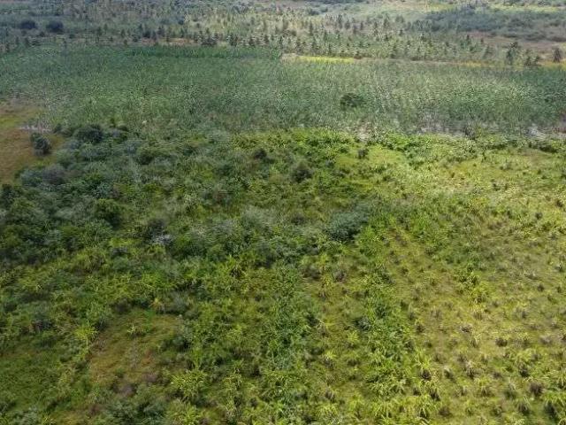 Sítio / Chácara para Venda em Rio do Fogo/RN Centro 10 Quartos