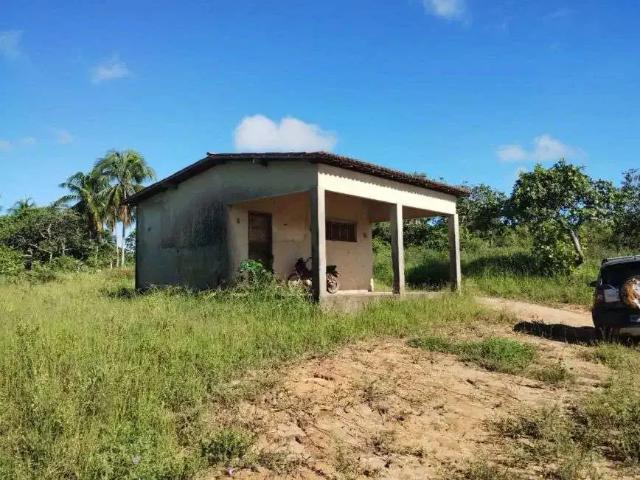 Sítio / Chácara para Venda em Rio do Fogo/RN Centro 2 Quartos