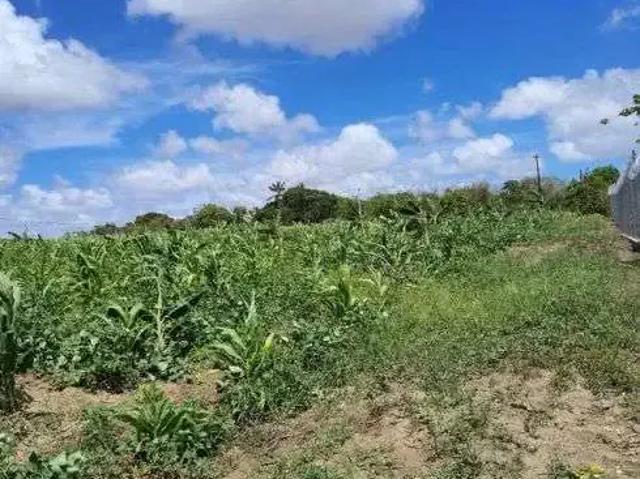 Sítio / Chácara para Venda em Rio do Fogo/RN Centro 4 Quartos