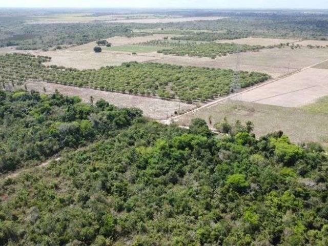 Sítio / Chácara para Venda em Rio do Fogo/RN Centro 6 Quartos