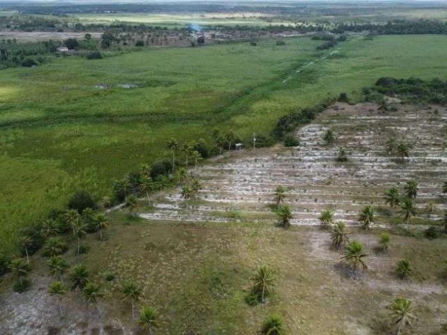 Sítio / Chácara para Venda em Rio do Fogo/RN Centro 6 Quartos