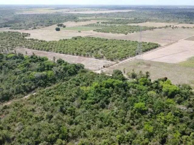 Sítio / Chácara para Venda em Rio do Fogo/RN Centro 6 Quartos