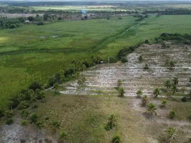 Sítio / Chácara para Venda em Rio do Fogo/RN Centro 6 Quartos