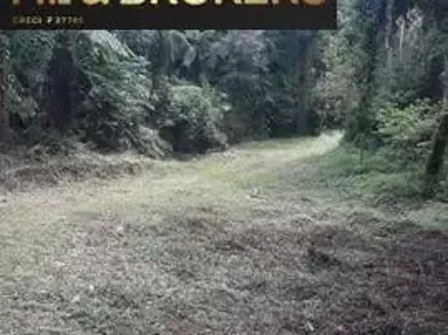 Sítio / Chácara para Venda em Rio dos Cedros/SC Zona Rural 2 Quartos