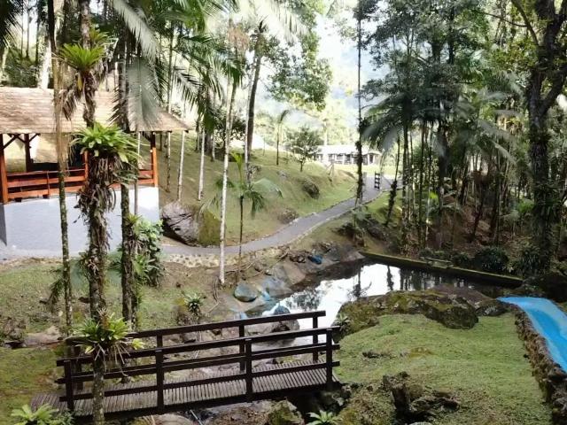 Sítio / Chácara para Venda em Rio dos Cedros/SC Alto Cedros 4 Quartos