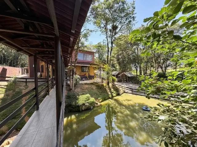 Sítio / Chácara para Venda em Rio dos Cedros/SC Alto Cedros 6 Quartos