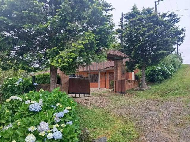 Sítio / Chácara para Venda em Rio dos Cedros/SC Alto Cedros 3 Quartos