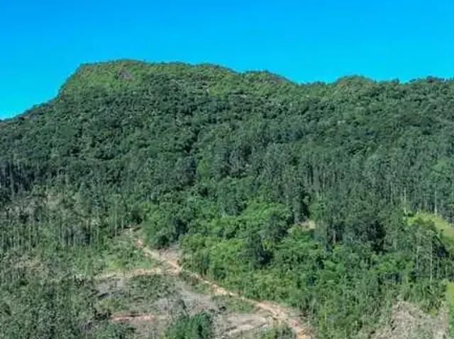 Sítio / Chácara para Venda em Rio dos Cedros/SC Alto Palmeiras 4 Quartos