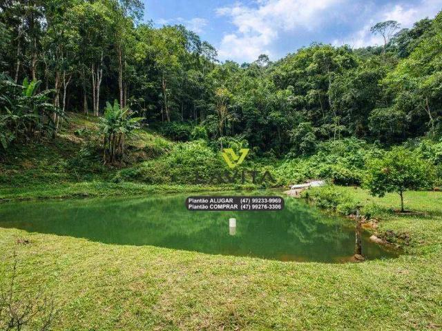 Sítio / Chácara para Venda em Rio dos Cedros/SC Alto Palmeiras 3 Quartos