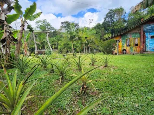 Sítio / Chácara para Venda em Rio dos Cedros/SC Caravaggio 4 Quartos