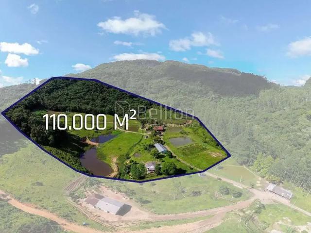 Sítio / Chácara para Venda em Rio dos Cedros/SC Cedro Alto 1 Quartos