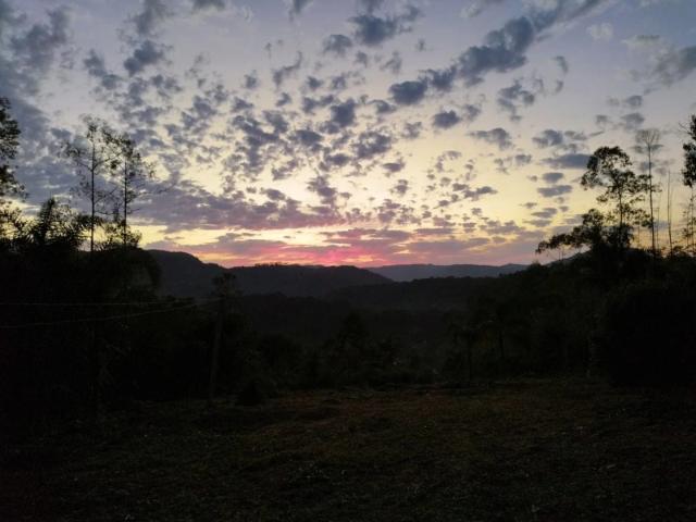 Sítio / Chácara para Venda em Rio dos Cedros/SC Cedro Alto 2 Quartos