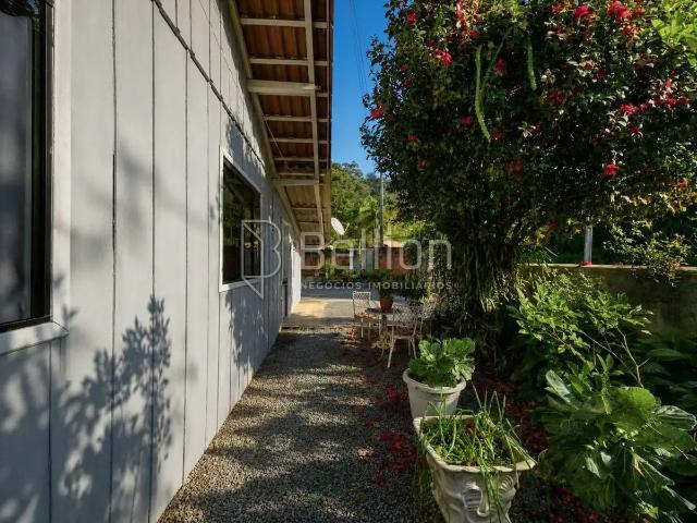 Sítio / Chácara para Venda em Rio dos Cedros/SC Cedro Alto 3 Quartos
