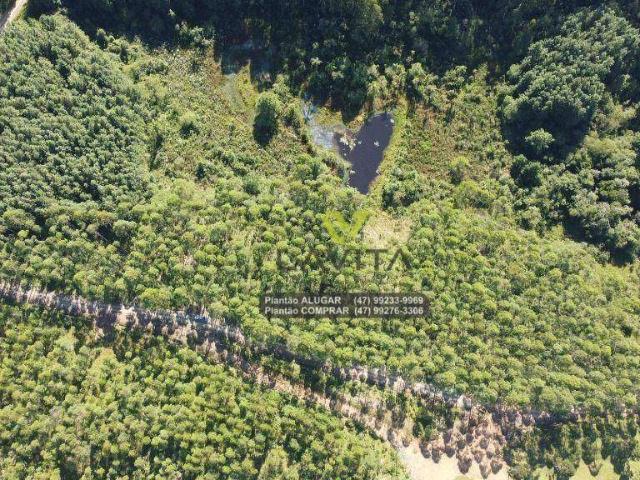 Sítio / Chácara para Venda em Rio dos Cedros/SC Cedro Alto