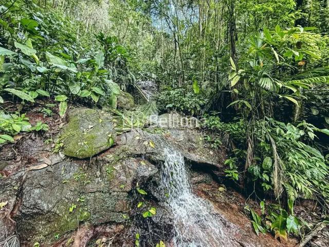 Sítio / Chácara para Venda em Rio dos Cedros/SC Cedro Alto 6 Quartos