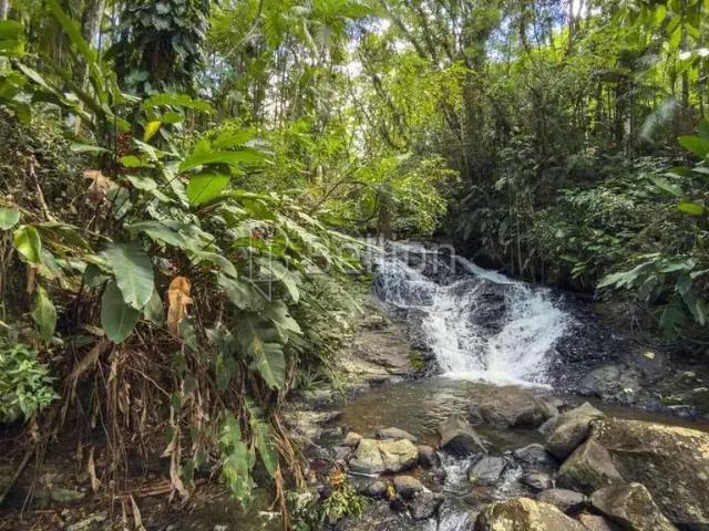 Sítio / Chácara para Venda em Rio dos Cedros/SC Rio Cunha 2 Quartos