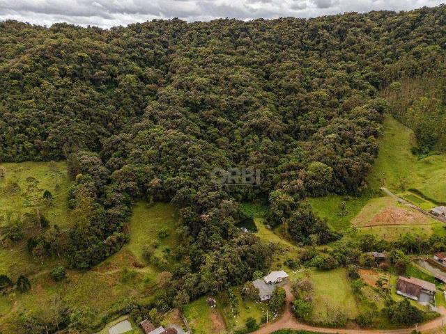 Sítio / Chácara para Venda em Rio dos Cedros/SC Rio Rosina 5 Quartos
