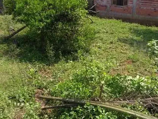 Sítio / Chácara para Venda em Rio Grande da Serra/SP Oasis Paulista 6 Quartos
