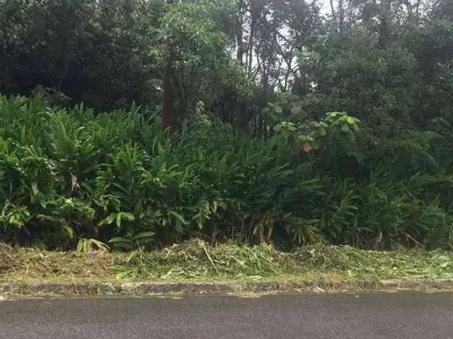 Sítio / Chácara para Venda em Rio Grande da Serra/SP Vila California 1 Quartos
