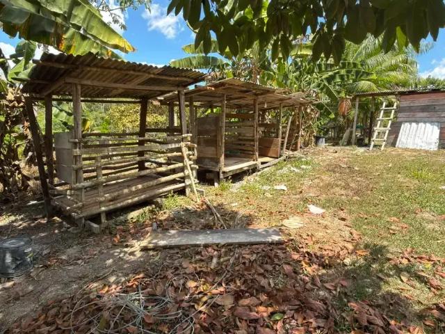 Sítio / Chácara para Venda em Rio Preto da Eva/AM Zona Rural 3 Quartos