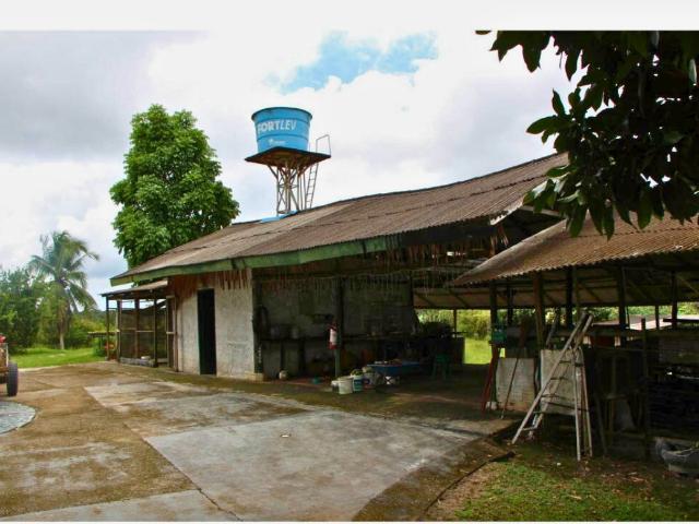 Sítio / Chácara para Venda em Rio Preto da Eva/AM Zona Rural 3 Quartos
