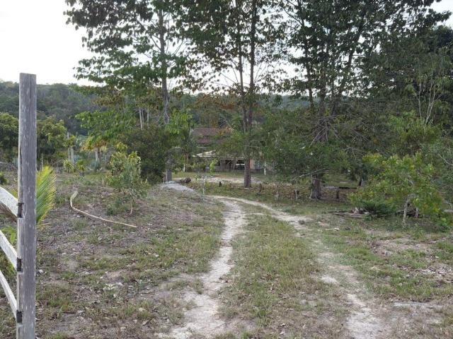 Sítio / Chácara para Venda em Rio Preto da Eva/AM Zona Rural 2 Quartos