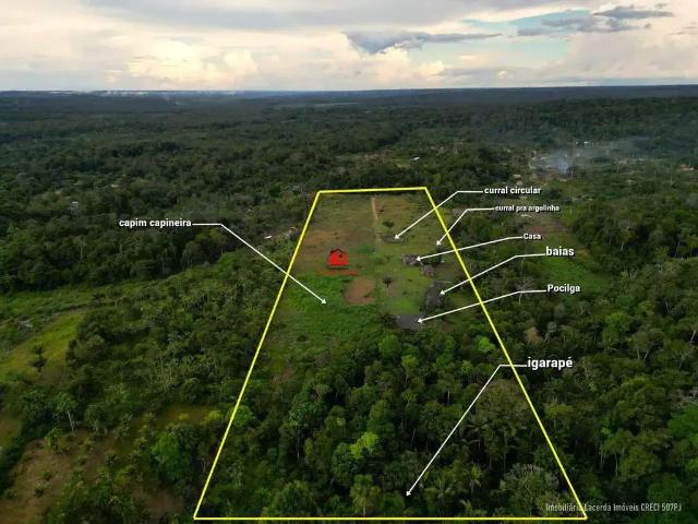 Sítio / Chácara para Venda em Rio Preto da Eva/AM Zona Rural