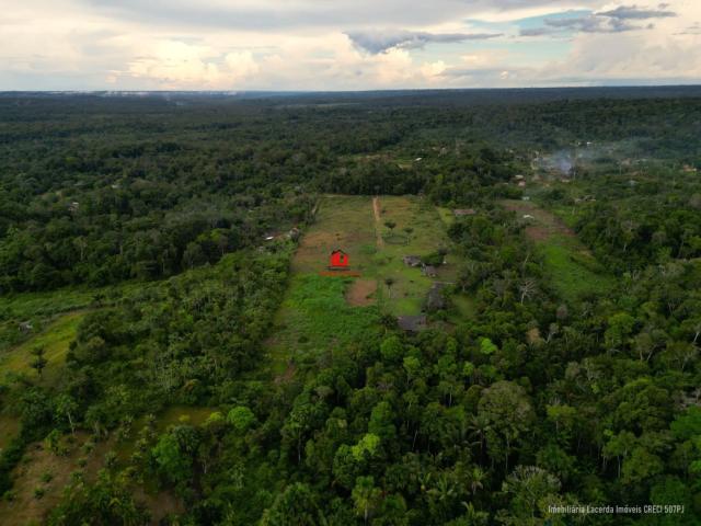 Sítio / Chácara para Venda em Rio Preto da Eva/AM Zona Rural