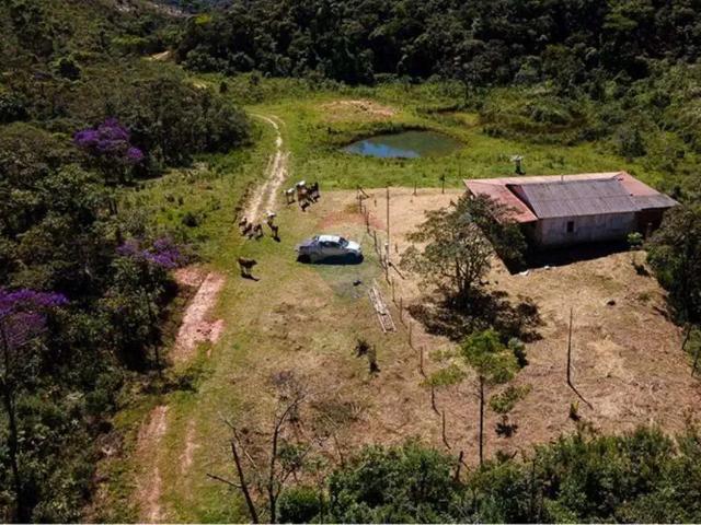 Sítio / Chácara para Venda em Rio Preto/MG Centro