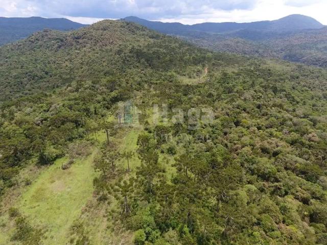 Sítio / Chácara para Venda em Rio Rufino/SC Zona Rural