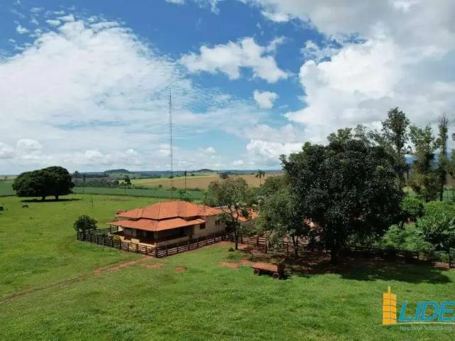 Sítio / Chácara para Venda em Rio Verde/GO Área Rural de Rio Verde