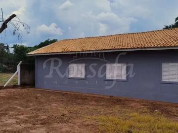 Sítio / Chácara para Venda em Rubinéia/SP Centro 3 Quartos
