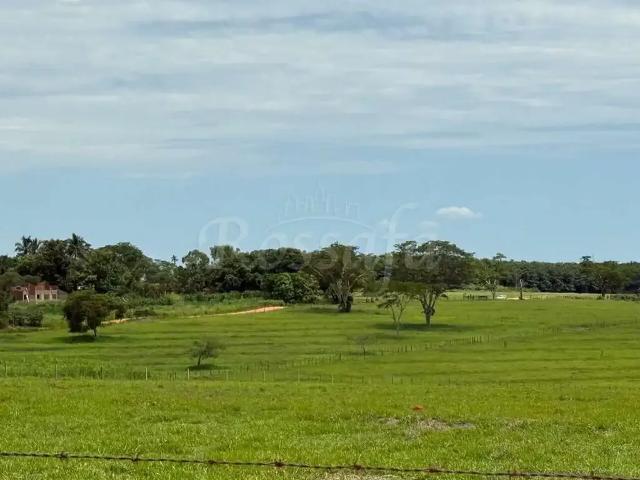 Sítio / Chácara para Venda em Rubinéia/SP Centro