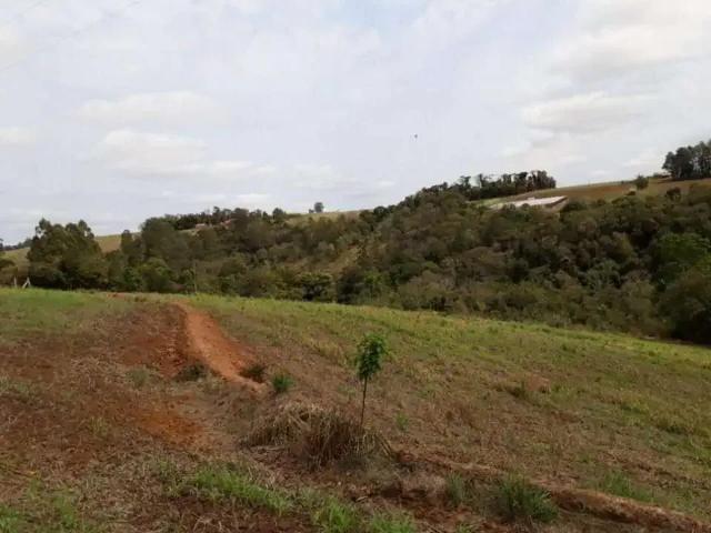 Sítio / Chácara para Venda em Wenceslau Braz/PR Centro 3 Quartos