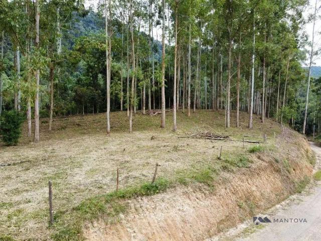 Sítio / Chácara para Venda em Witmarsum/SC Centro