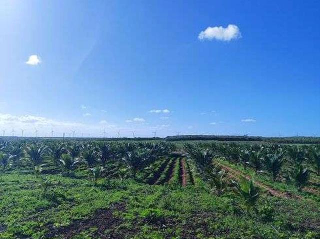 Sítio / Chácara para Venda em Touros/RN Centro 2 Quartos
