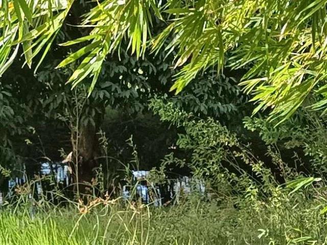 Sítio / Chácara para Venda em Touros/RN Centro 3 Quartos