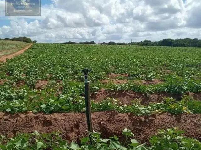 Sítio / Chácara para Venda em Touros/RN Centro 3 Quartos