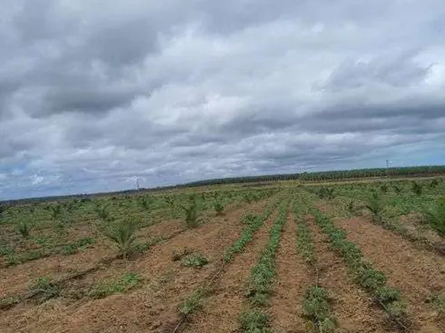 Sítio / Chácara para Venda em Touros/RN Centro 3 Quartos