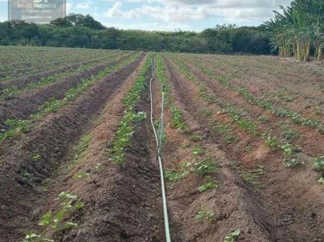 Sítio / Chácara para Venda em Touros/RN Centro 3 Quartos