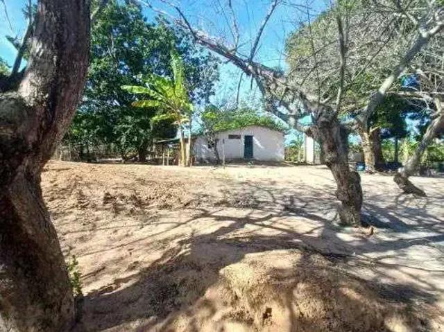 Sítio / Chácara para Venda em Touros/RN Centro 4 Quartos