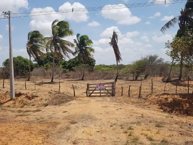 Sítio / Chácara para Venda em Touros/RN Zona Rural