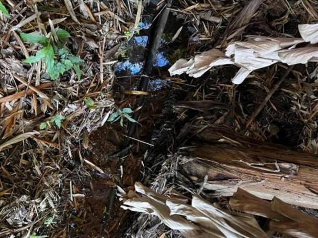 Sítio / Chácara para Venda em Toledo, 2 dormitórios, 1 banheiro