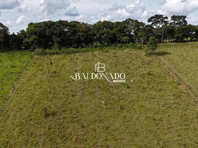 Sítio / Chácara para Venda em Toledo/MG Centro 3 Quartos